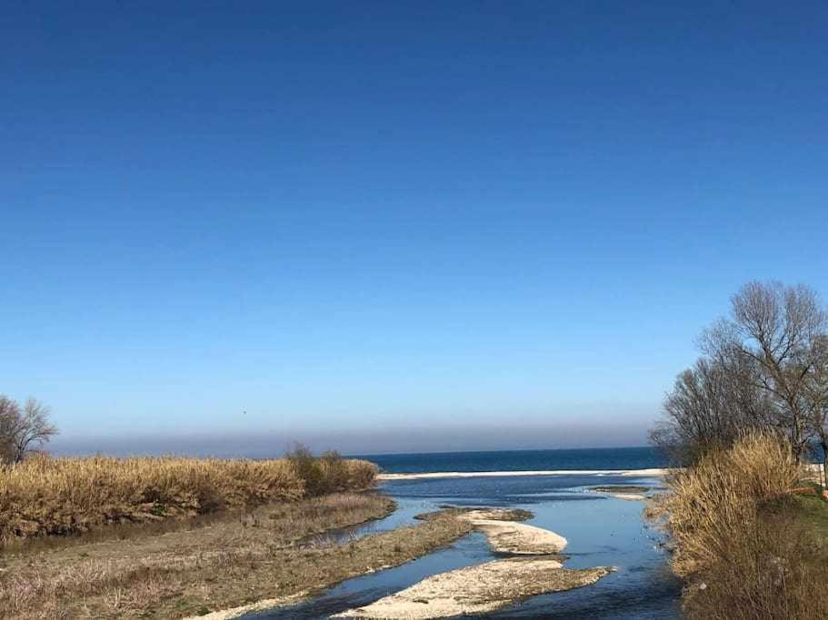 Vita Marina Daire Porto SantʼElpidio Dış mekan fotoğraf