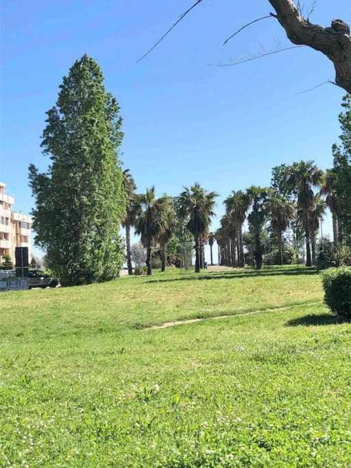 Vita Marina Daire Porto SantʼElpidio Dış mekan fotoğraf